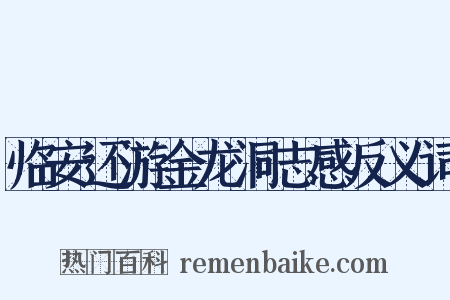 临安还游金龙洞志感反义词是什么意思的图片